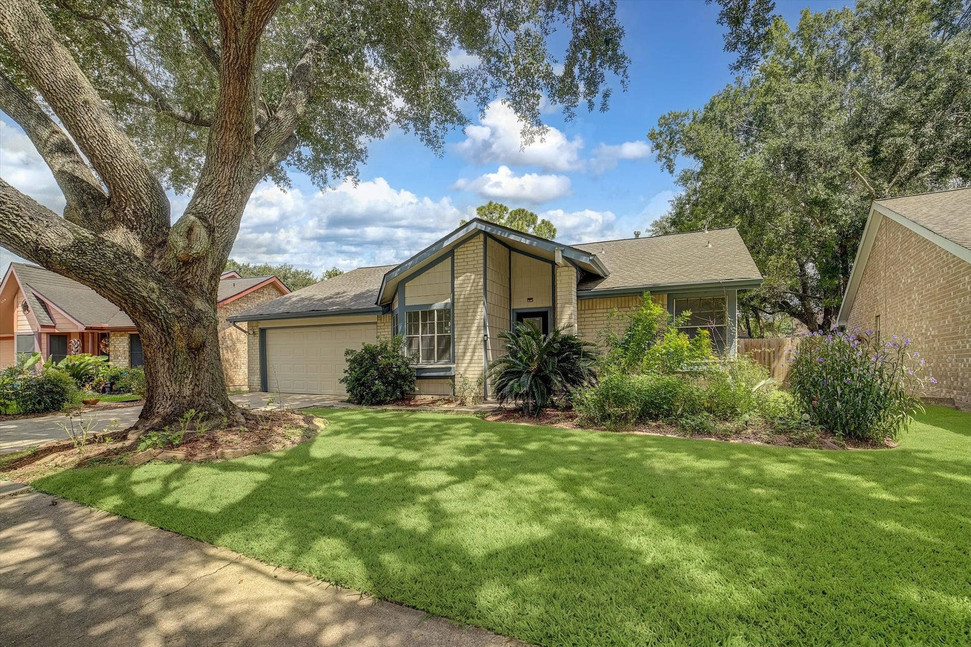 14218 Whitecross Drive, Houston, TX 77083 This property features a beautiful shade tree.