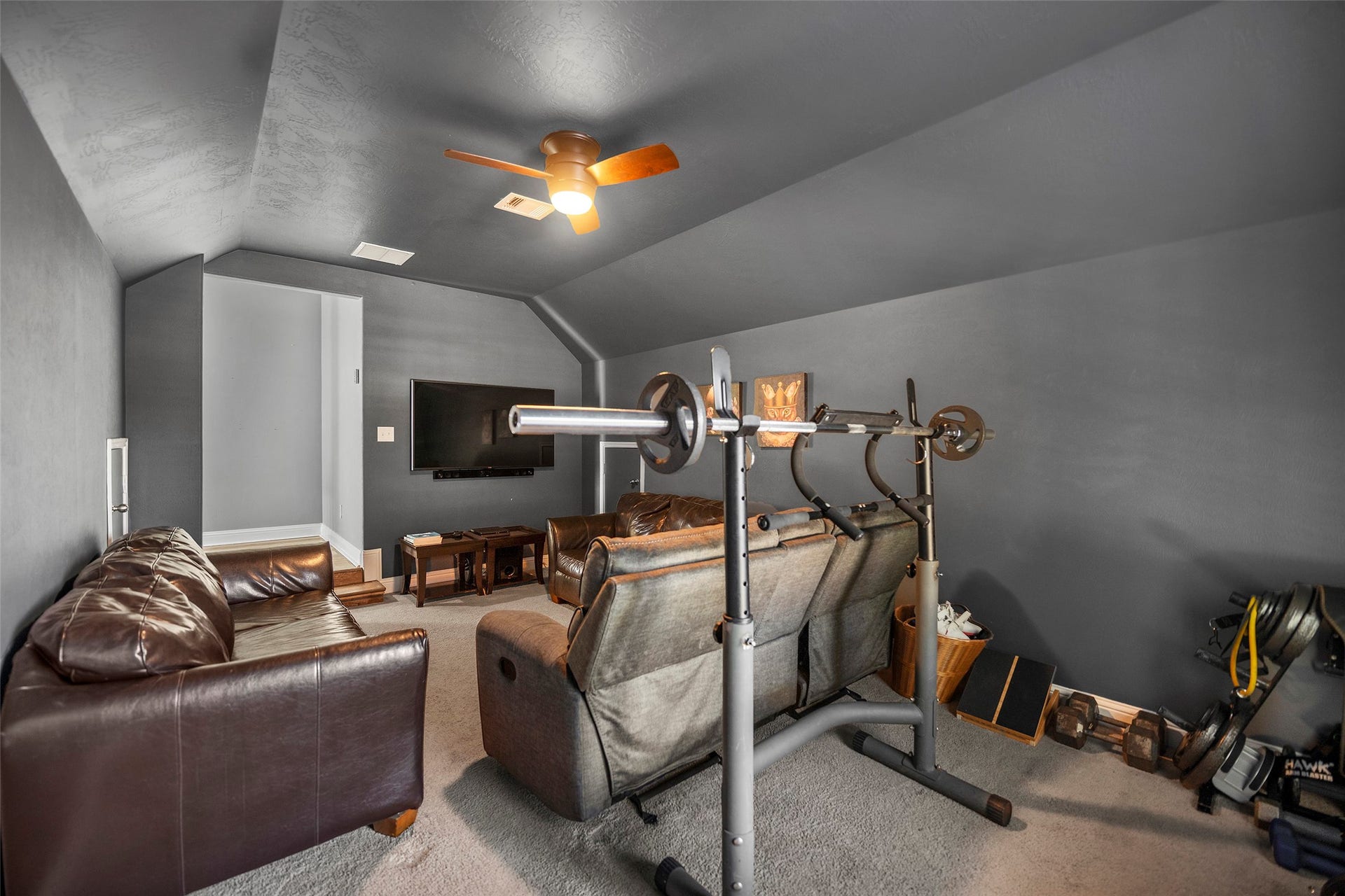 Media / excercise room
