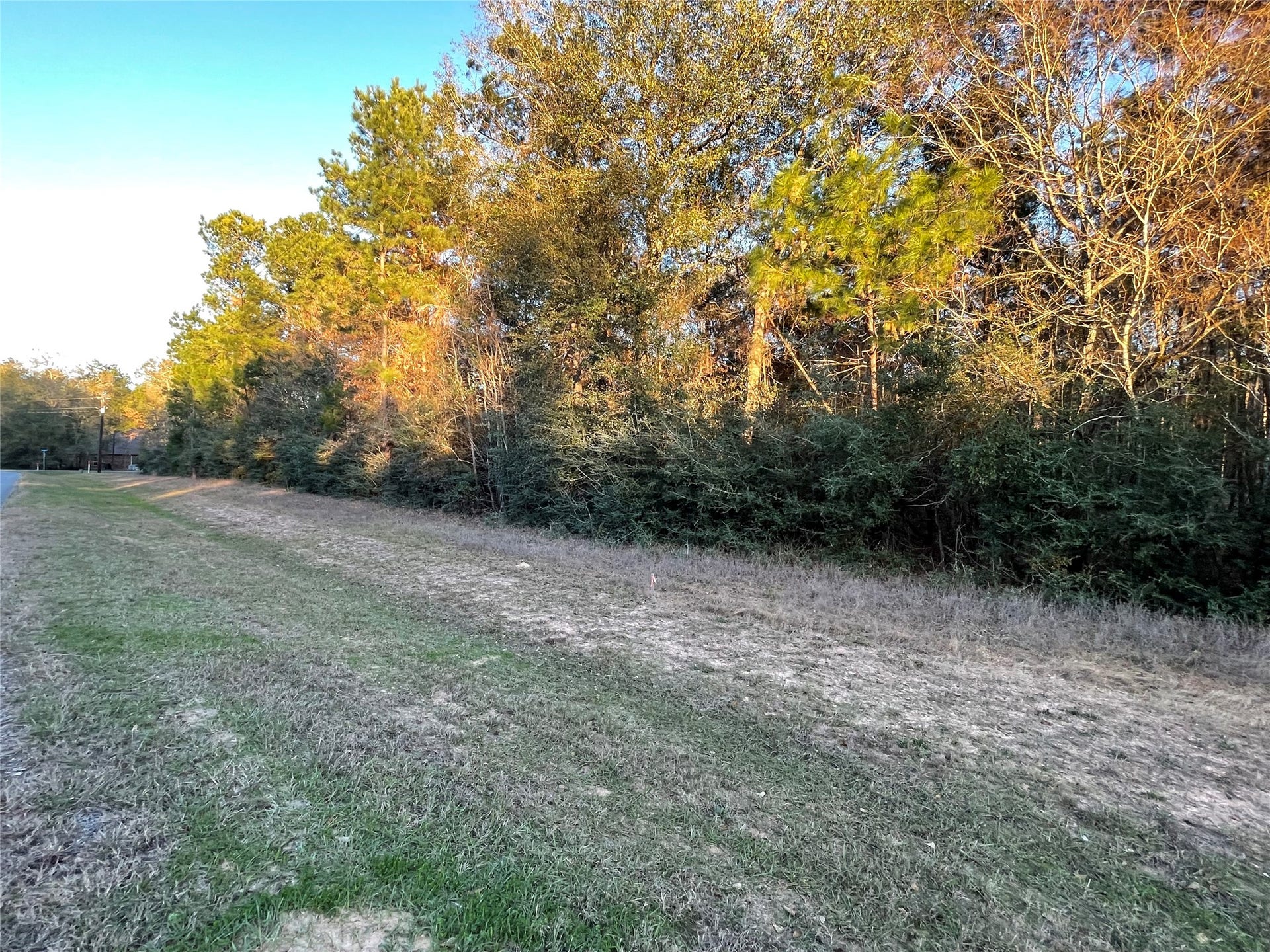 28921 Mustang Drive, Waller, TX 77484 28921 Mustang Drive, Waller, TX 77484