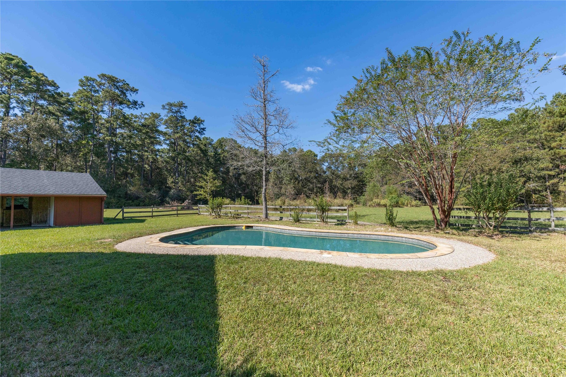 Swimming pool in the backyard