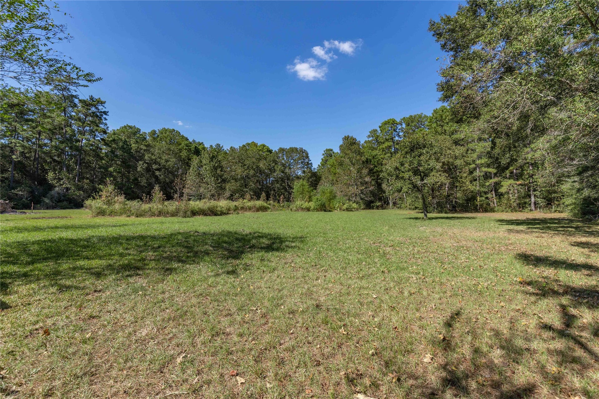 View from the backyard to the open acreage