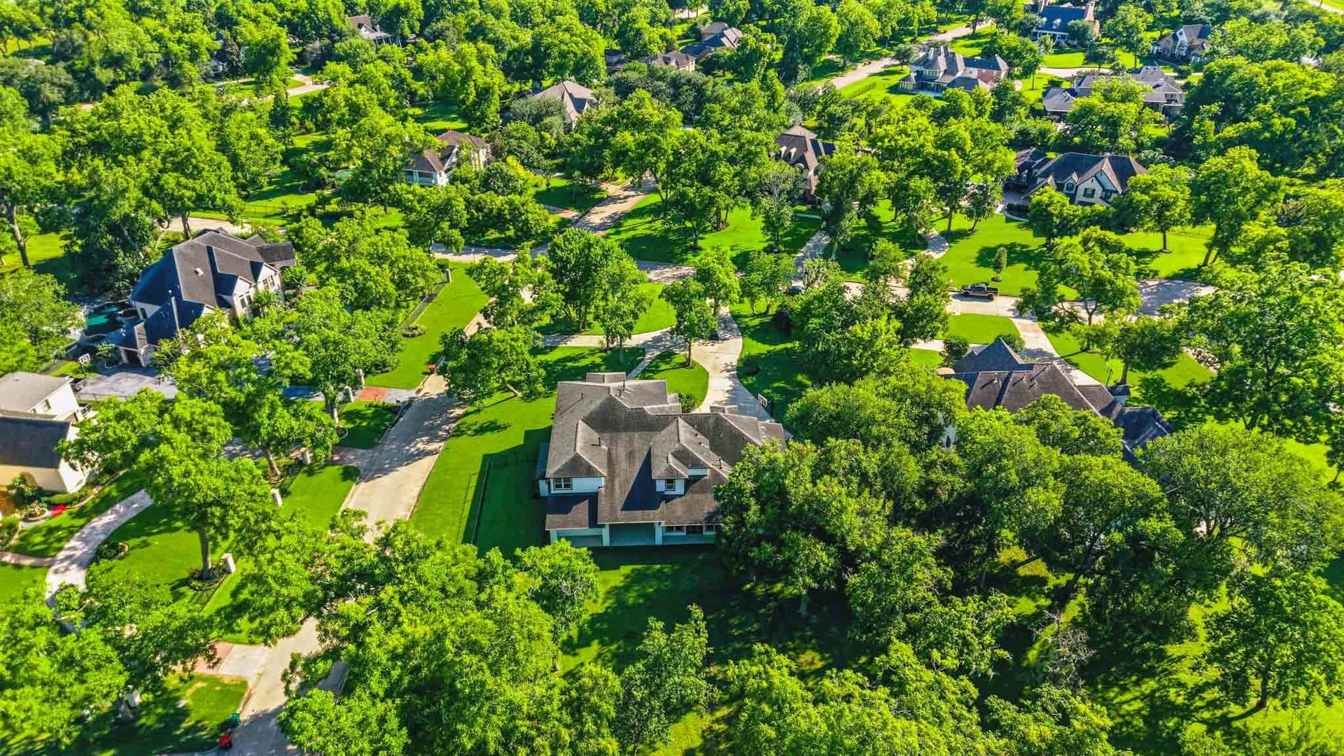 15 Bees Creek Court, Missouri City, TX 77459 Stunning aerial view showcasing the estate-sized homesites and mature trees throughout the community.