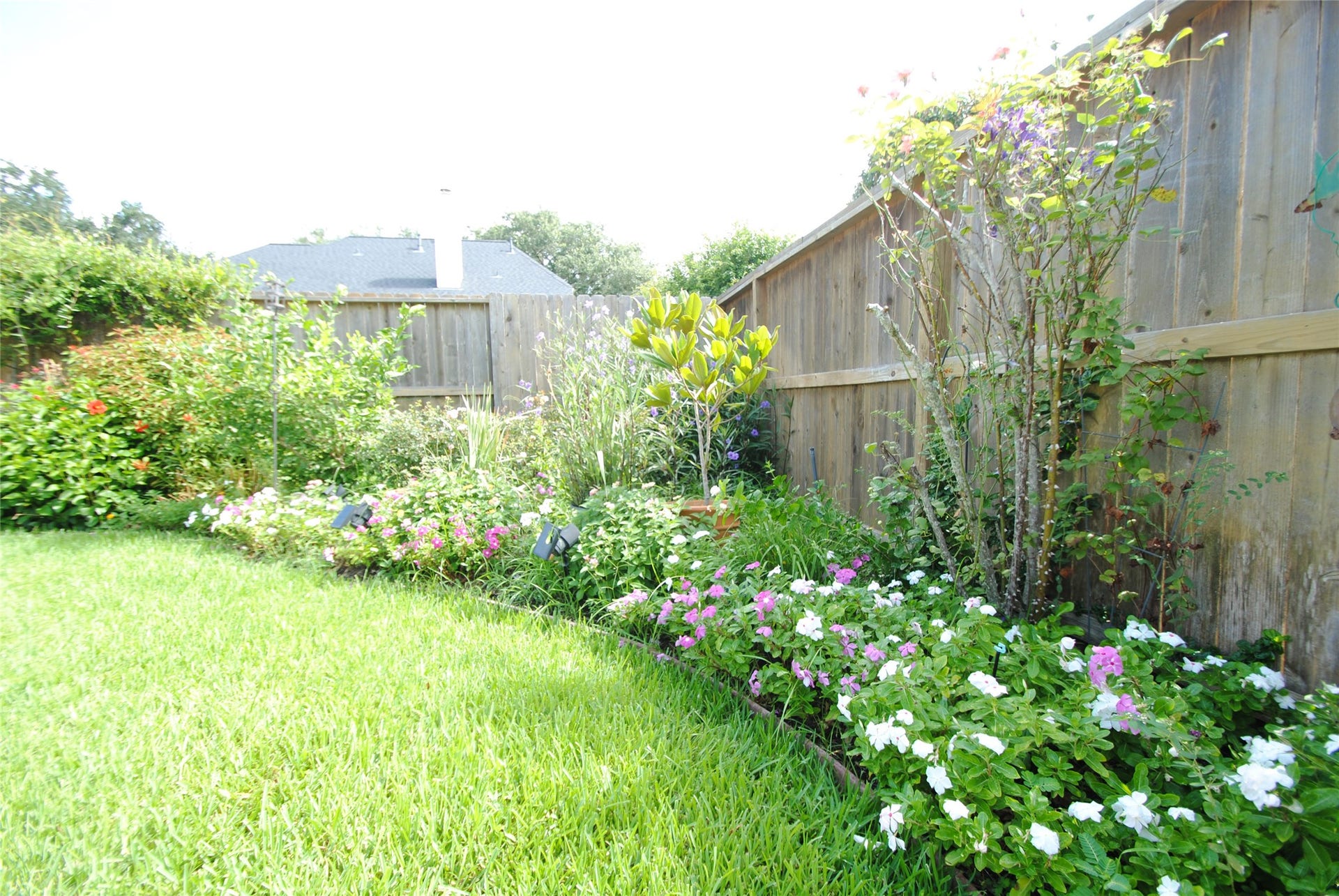22902 Greenrush Drive, Katy, TX 77494 A NICE GRASSY AREA FOR A PLAYSET OR PICNIC