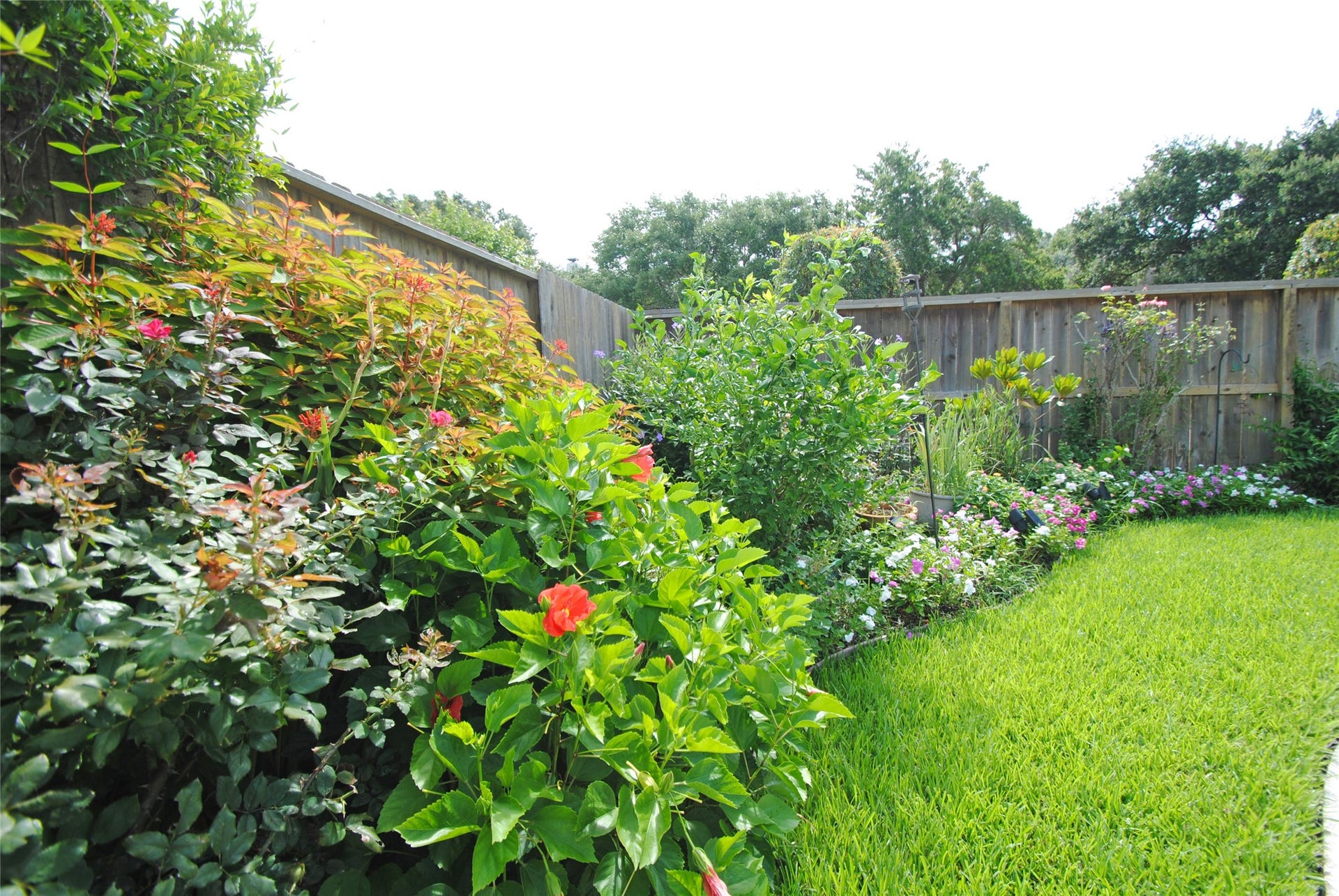 22902 Greenrush Drive, Katy, TX 77494 LUSH LANDSCAPING USES EASY MTCE NATIVE PLANTS