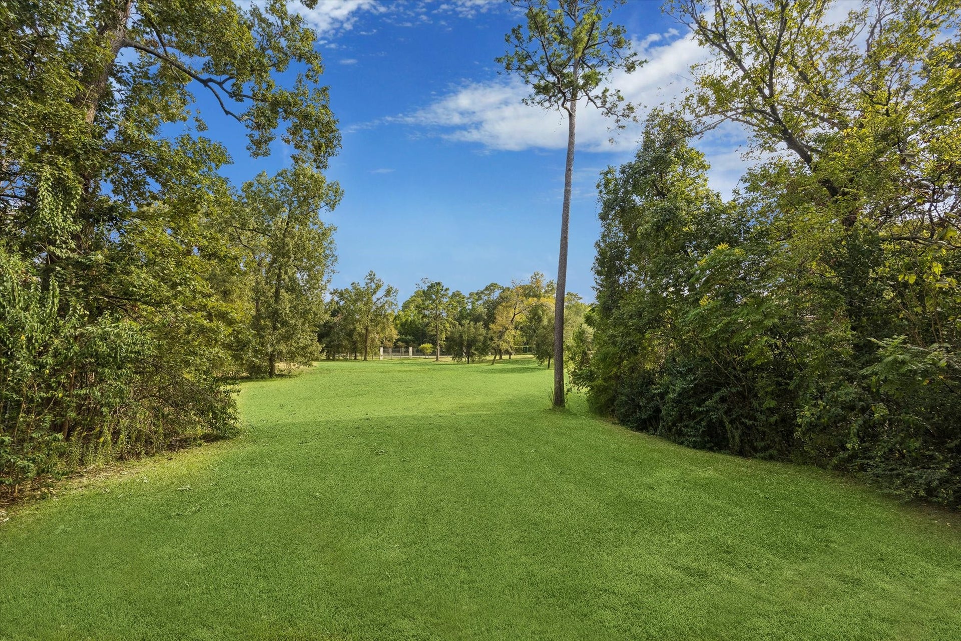 119 Carnarvon Drive, Houston, TX 77024 119 Carnarvon Drive, Houston, TX 77024