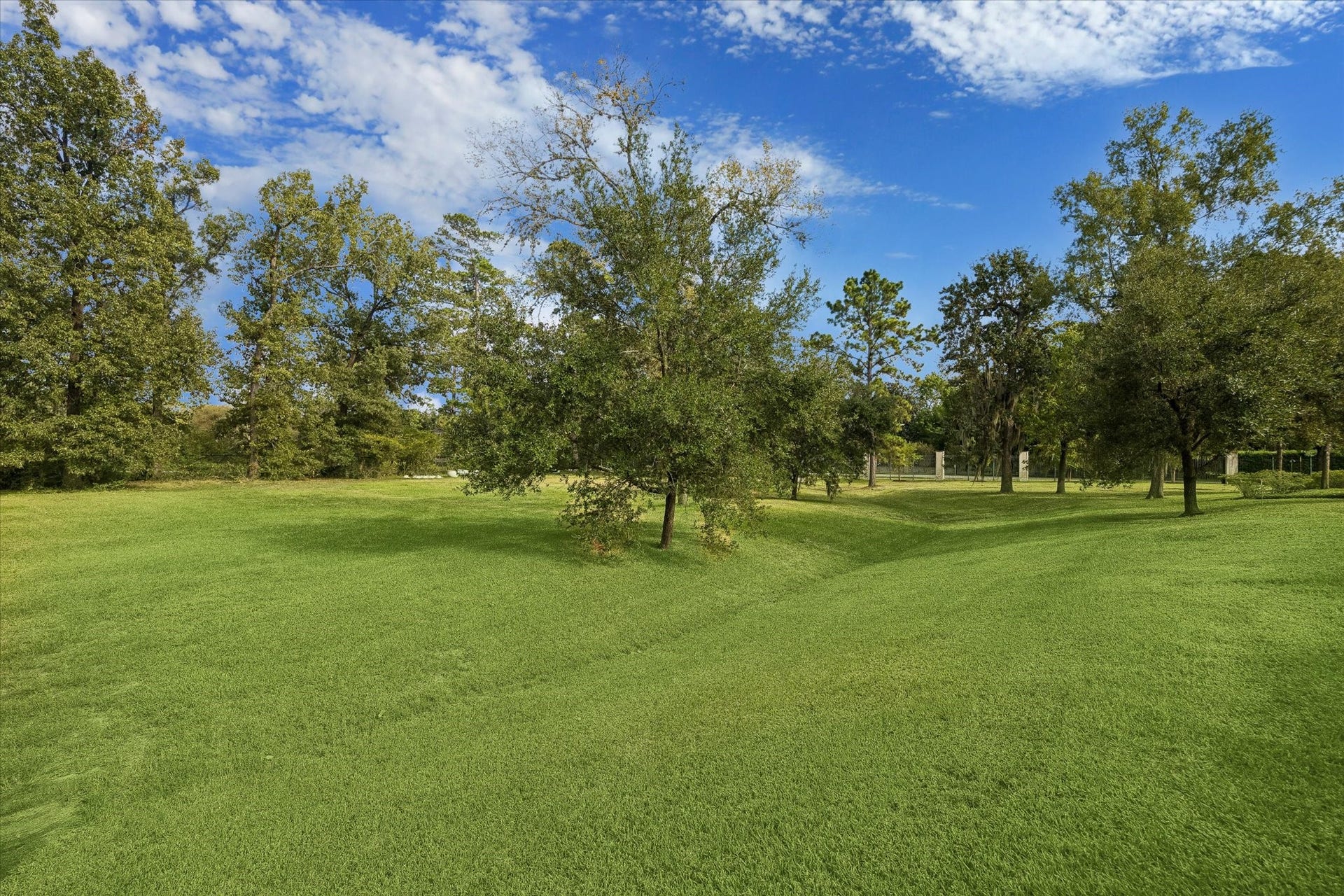119 Carnarvon Drive, Houston, TX 77024 119 Carnarvon Drive, Houston, TX 77024