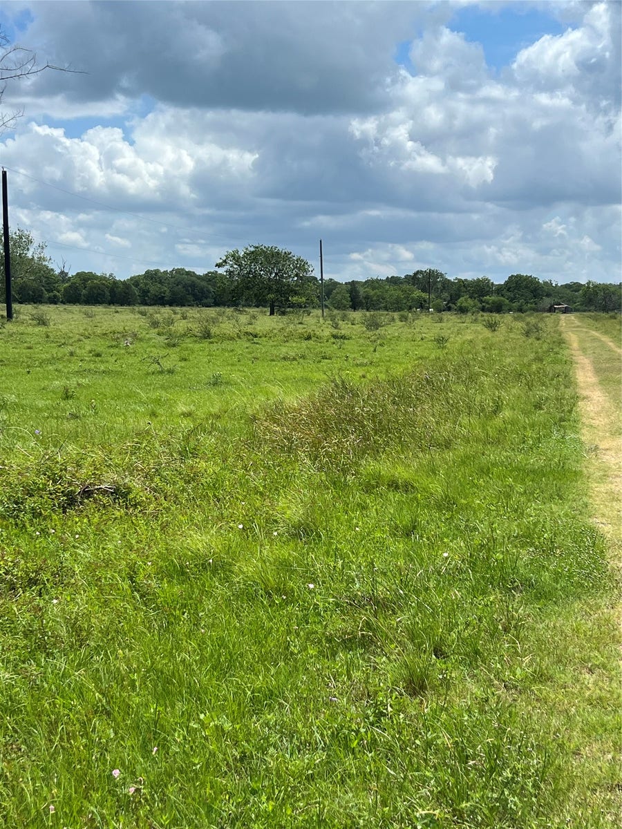 Property photo for 14113 Peters Road, Needville, TX