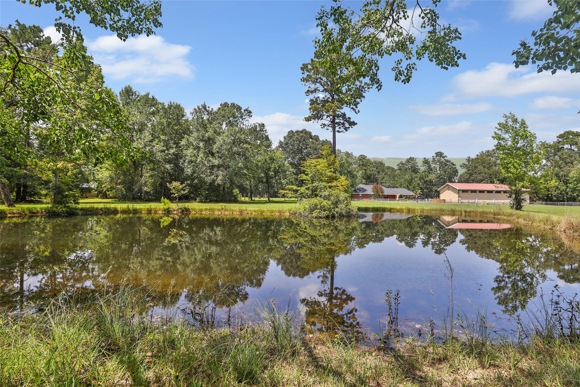 26342 Hill And Dale Avenue, Splendora, TX 77372 Stocked fishing pond
