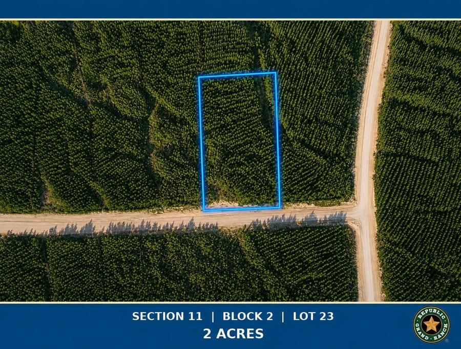Property photo for 15979 Forest Grove Drive, Willis, TX