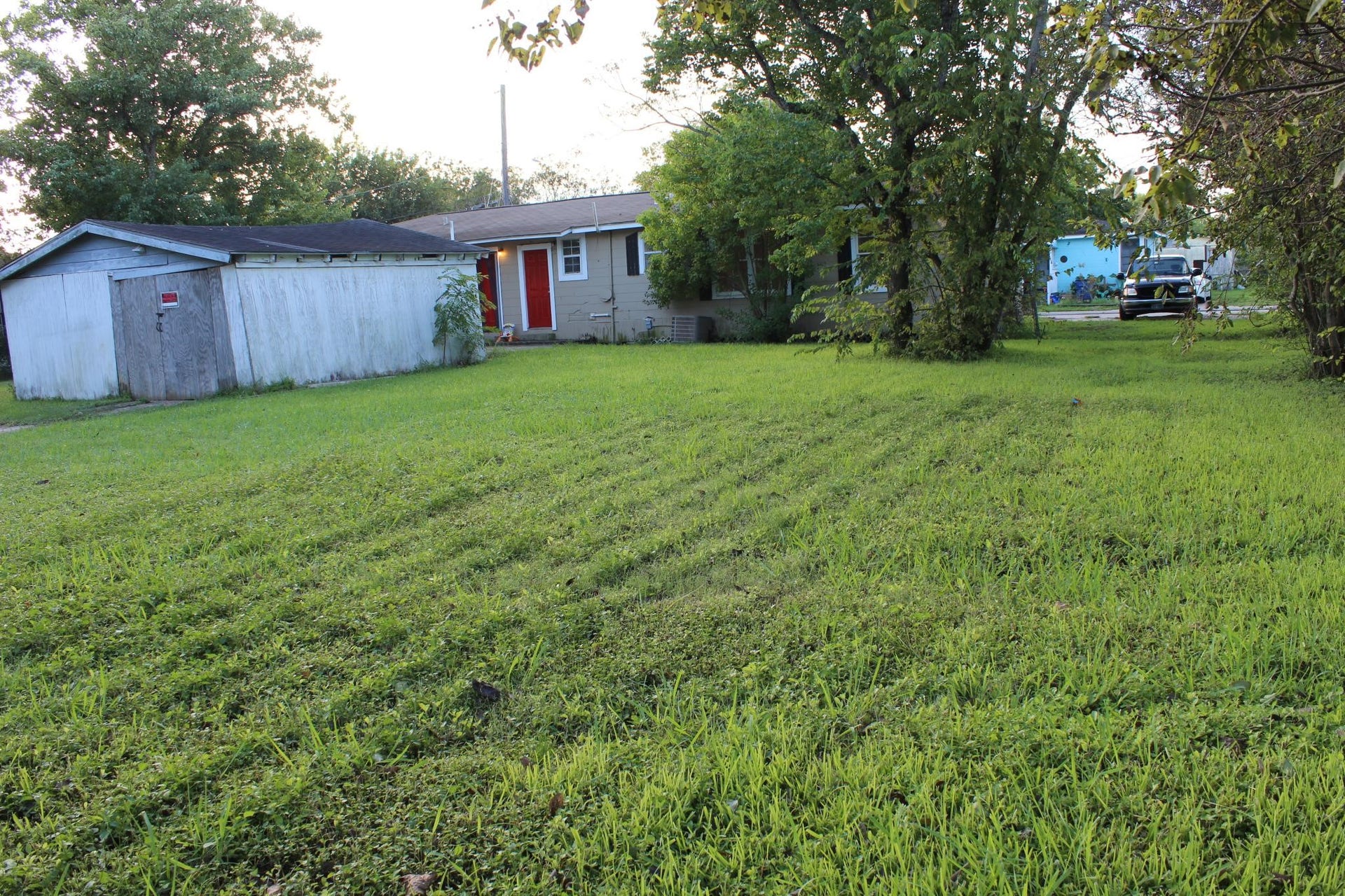 Backyard