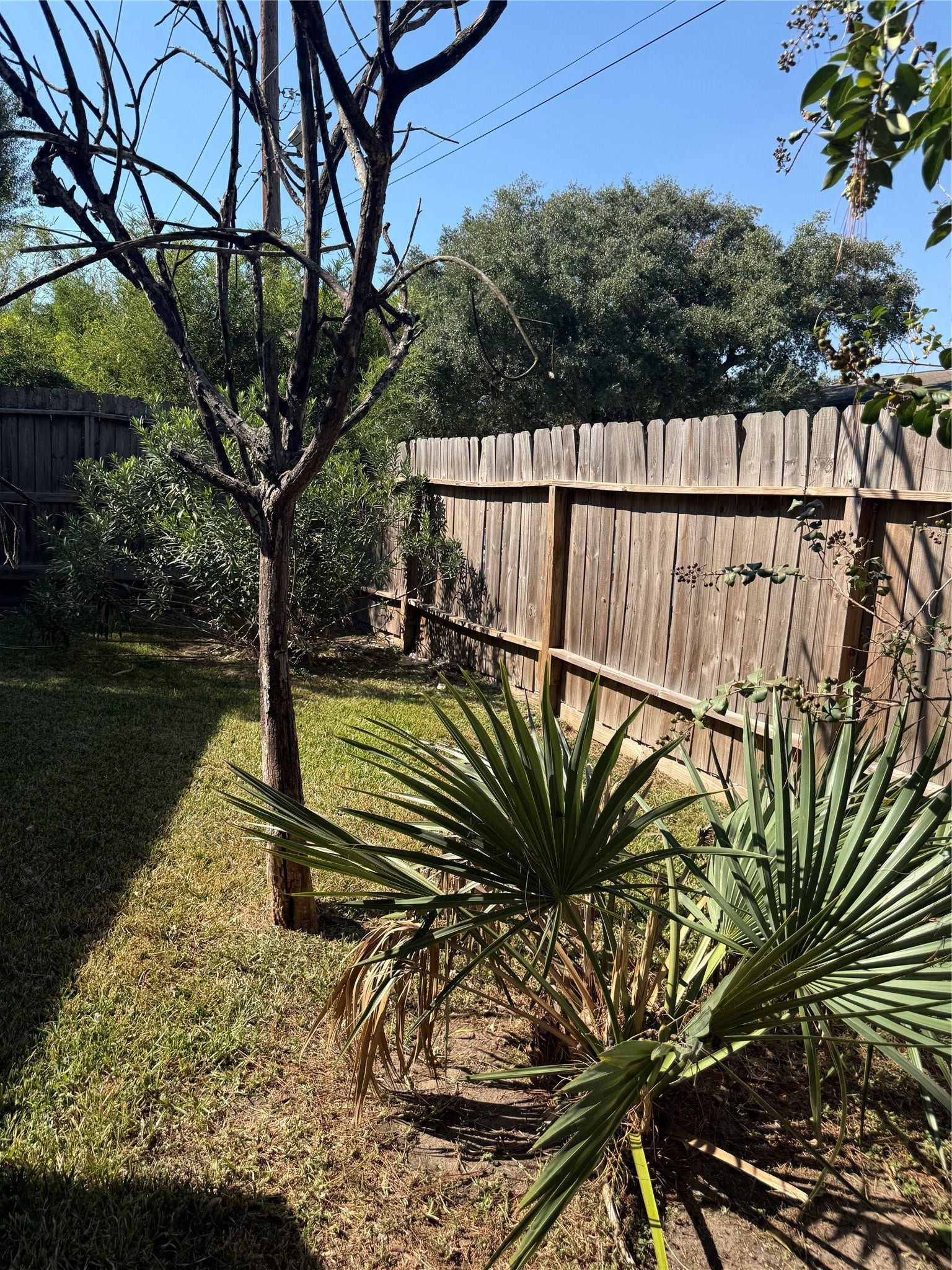 10818 Chevy Chase Drive, Houston, TX 77042 10818 Chevy Chase Drive, Houston, TX 77042