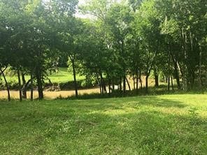 5115 Tashkent Drive, Friendswood, TX 77546 walk to wooded creek