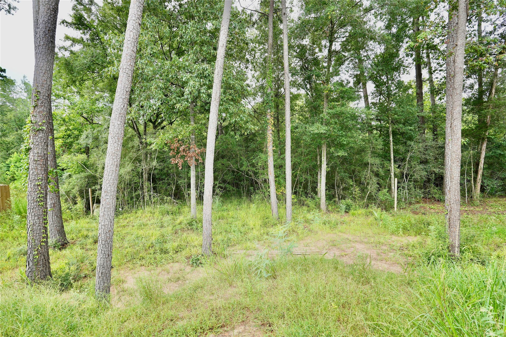12161 LA SALLE RIVER RD, Conroe, TX 77304