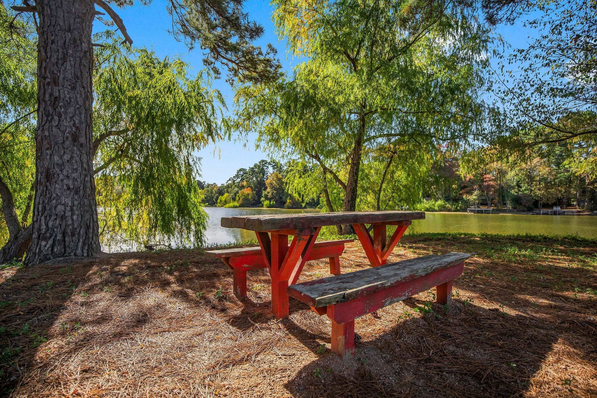 Community picnic area