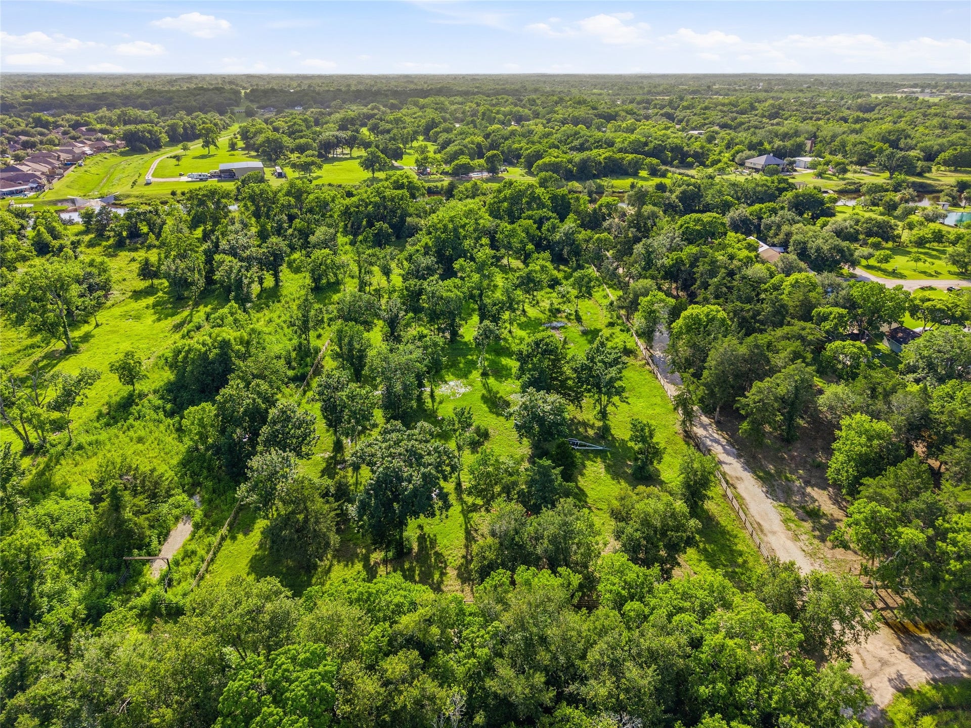 7334 Custer Street, Hitchcock, TX 77563 Sprawling green landscape with mature trees, offering privacy and scenic views.