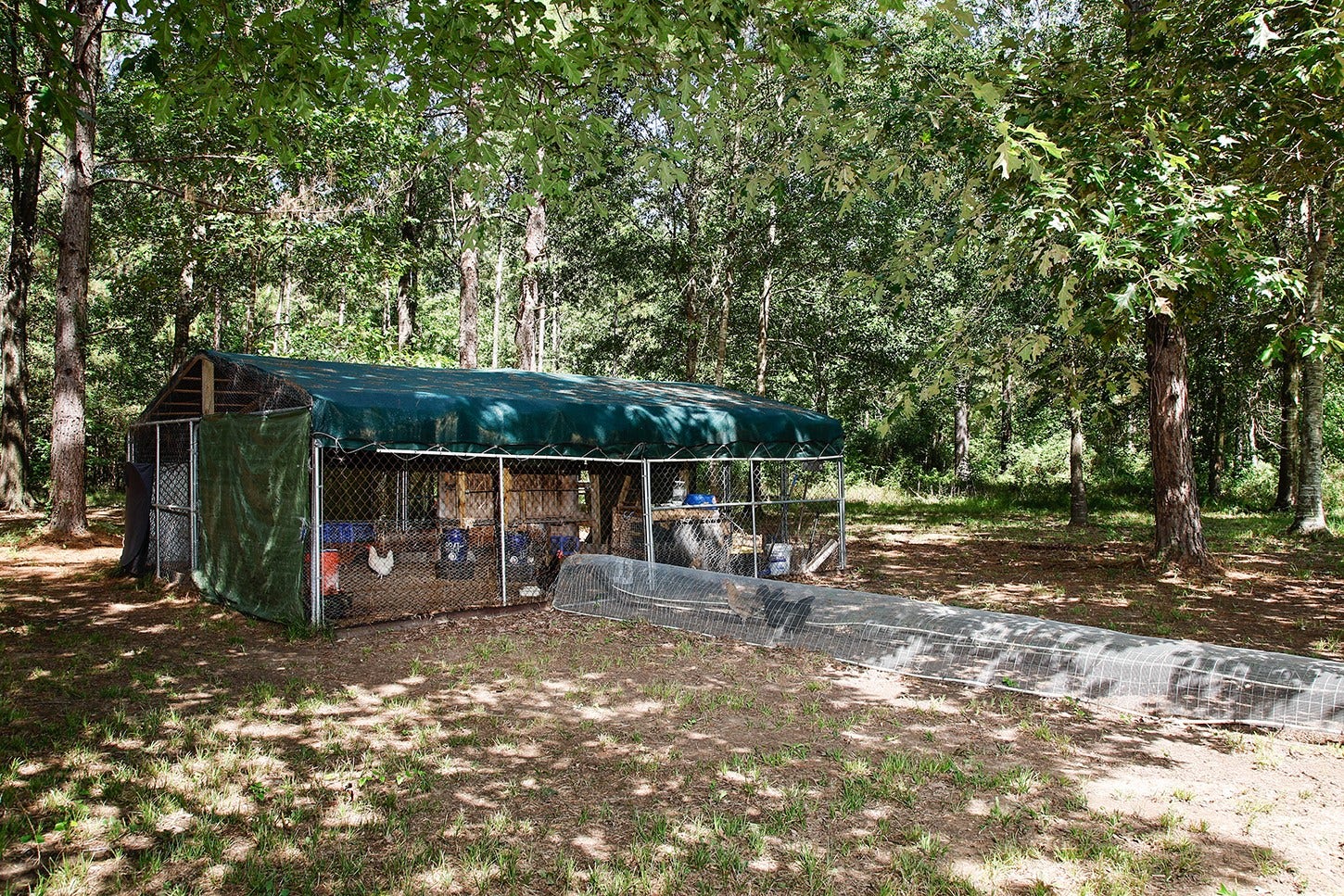 5132 Mount Zion Road, New Waverly, TX 77358