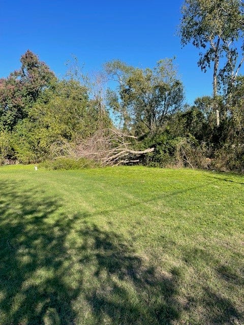 0 Cartersville Street, Houston, TX 77029 0 Cartersville Street, Houston, TX 77029