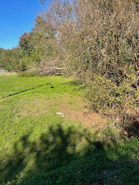 0 Cartersville Street, Houston, TX 77029 0 Cartersville Street, Houston, TX 77029