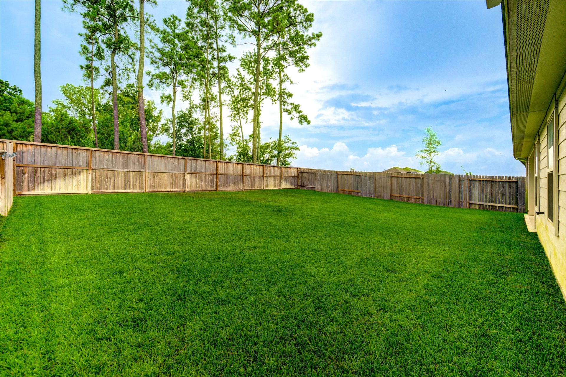 21577 Starry Night Drive, New Caney, TX 77357 21577 Starry Night Drive, New Caney, TX 77357