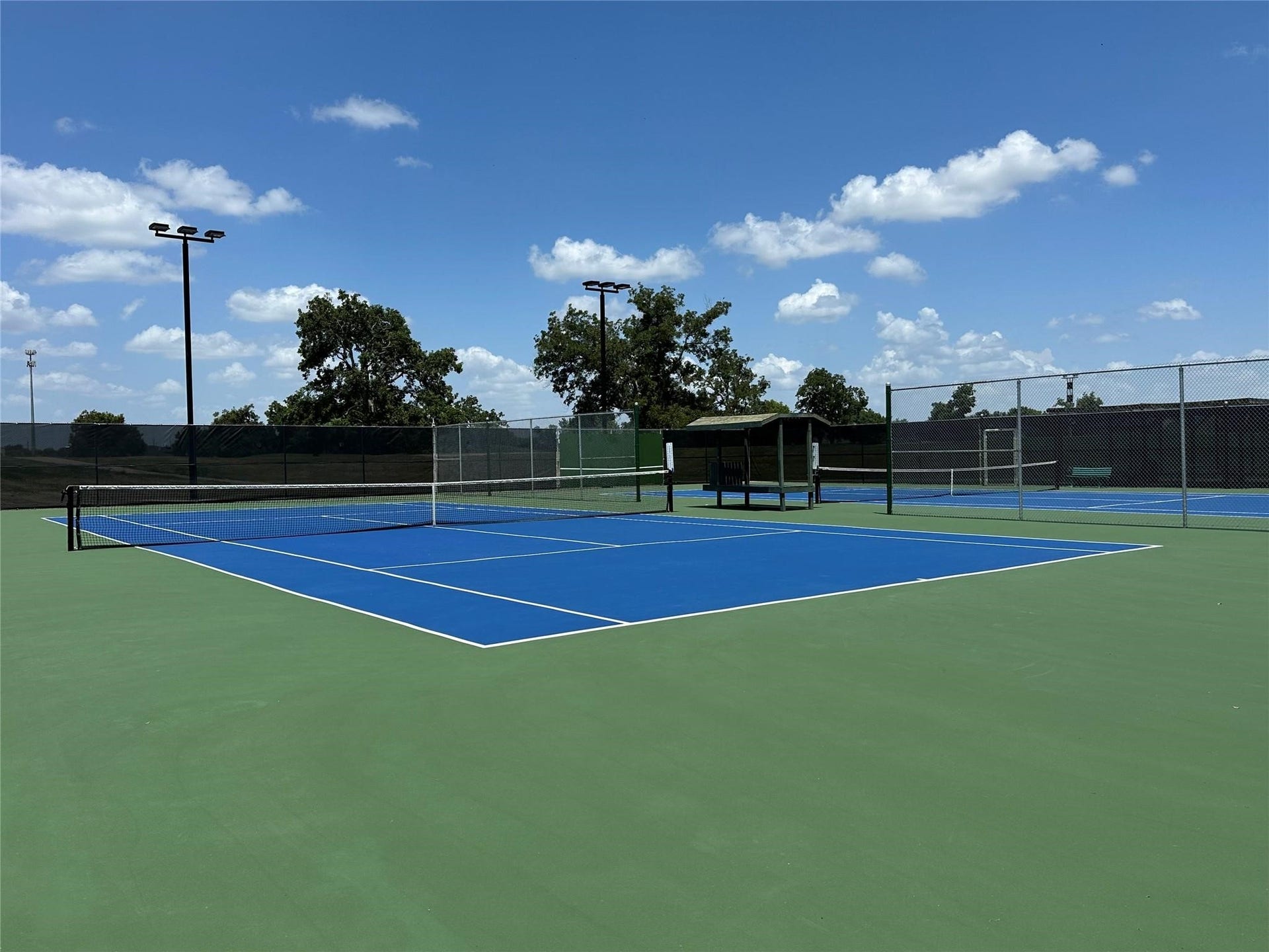 1410 Briar Green Court, Richmond, TX 77406 Subdivision Amenities include this Tennis Court/Pickleball court!