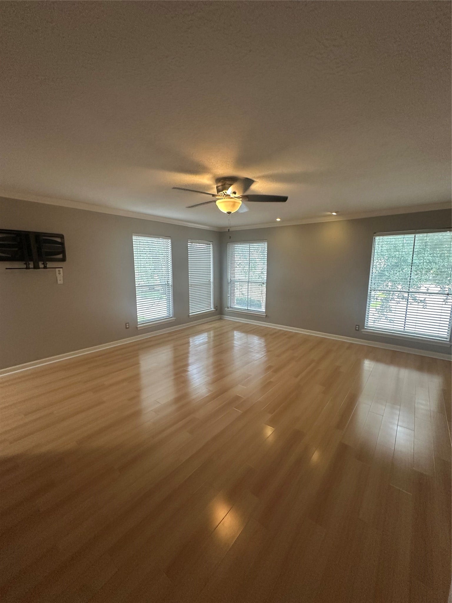 10005 Kemp Forest Drive, Houston, TX 77080 10005 Kemp Forest Drive, Houston, TX 77080