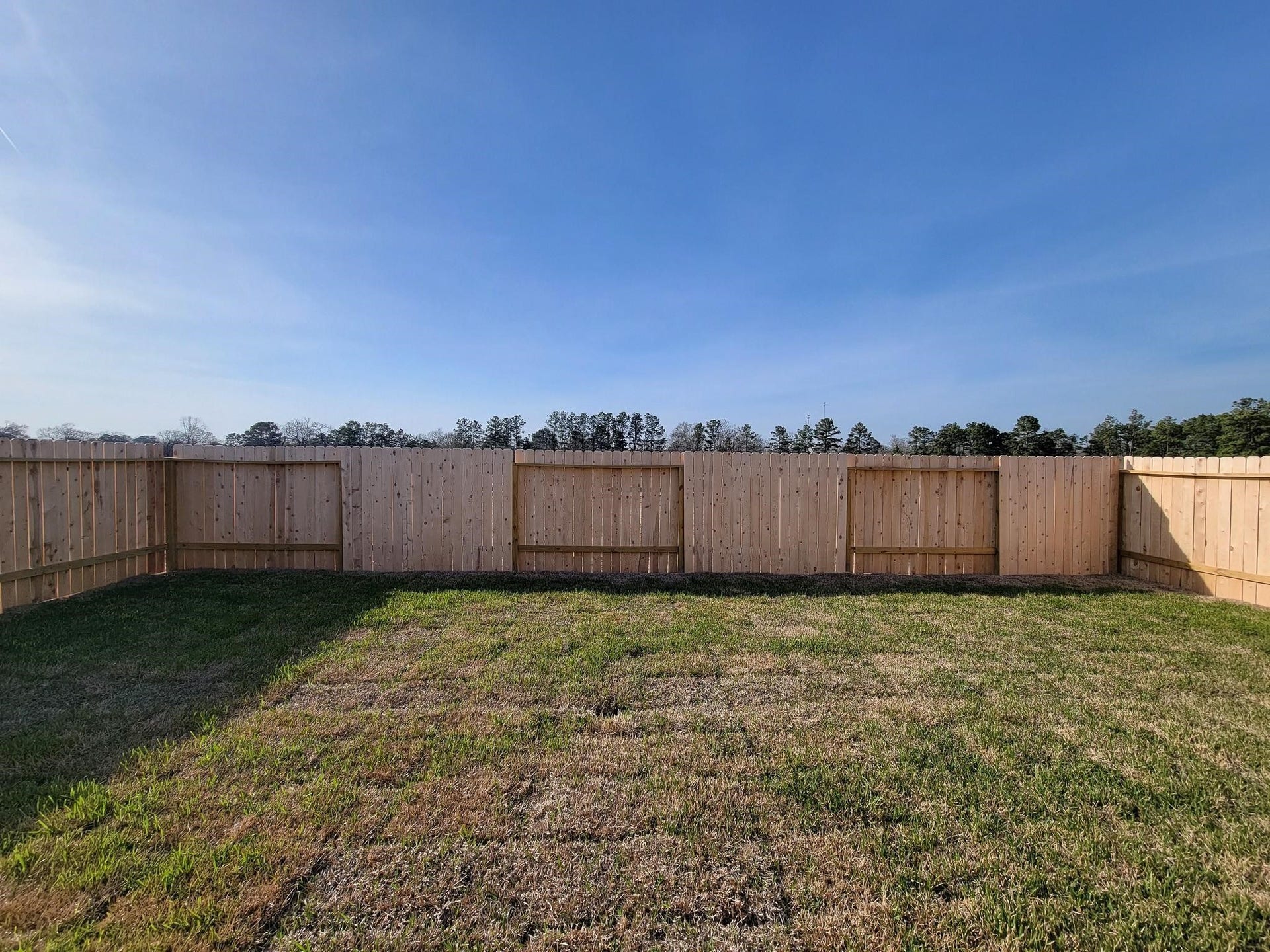 15671 PLUM BROOK DRIVE, Conroe, TX 77303 15671 PLUM BROOK DRIVE, Conroe, TX 77303