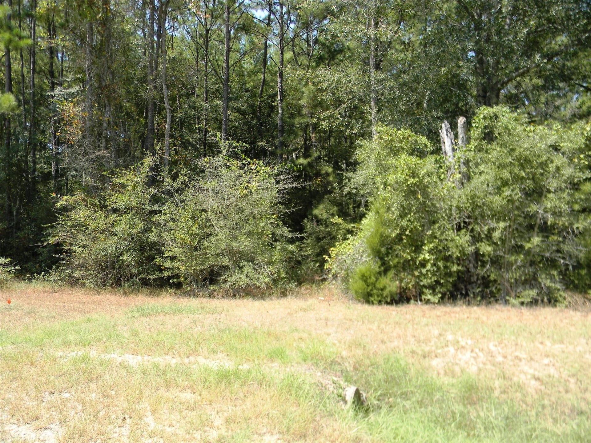 31643 Stone Bridge Parkway, Waller, TX 77484 31643 Stone Bridge Parkway, Waller, TX 77484