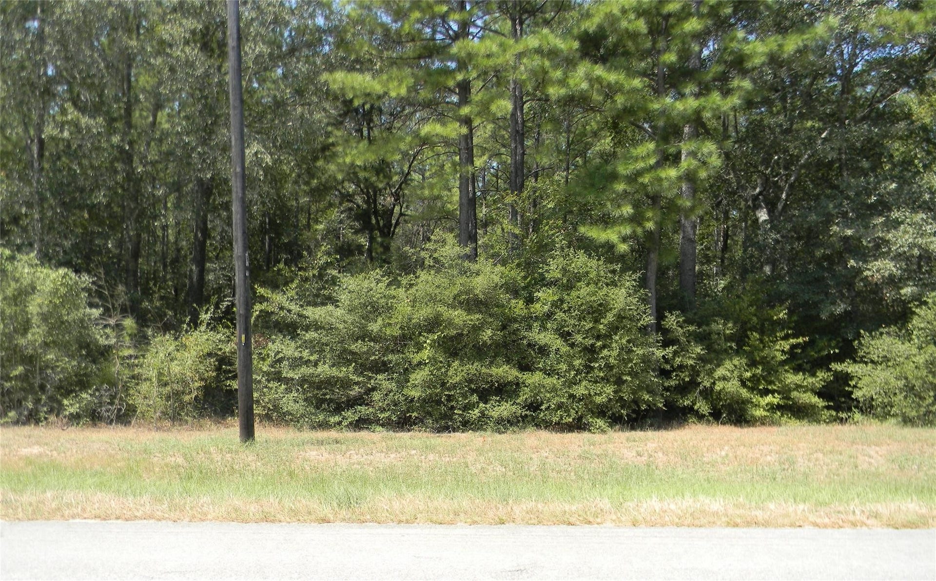 31643 Stone Bridge Parkway, Waller, TX 77484 31643 Stone Bridge Parkway, Waller, TX 77484