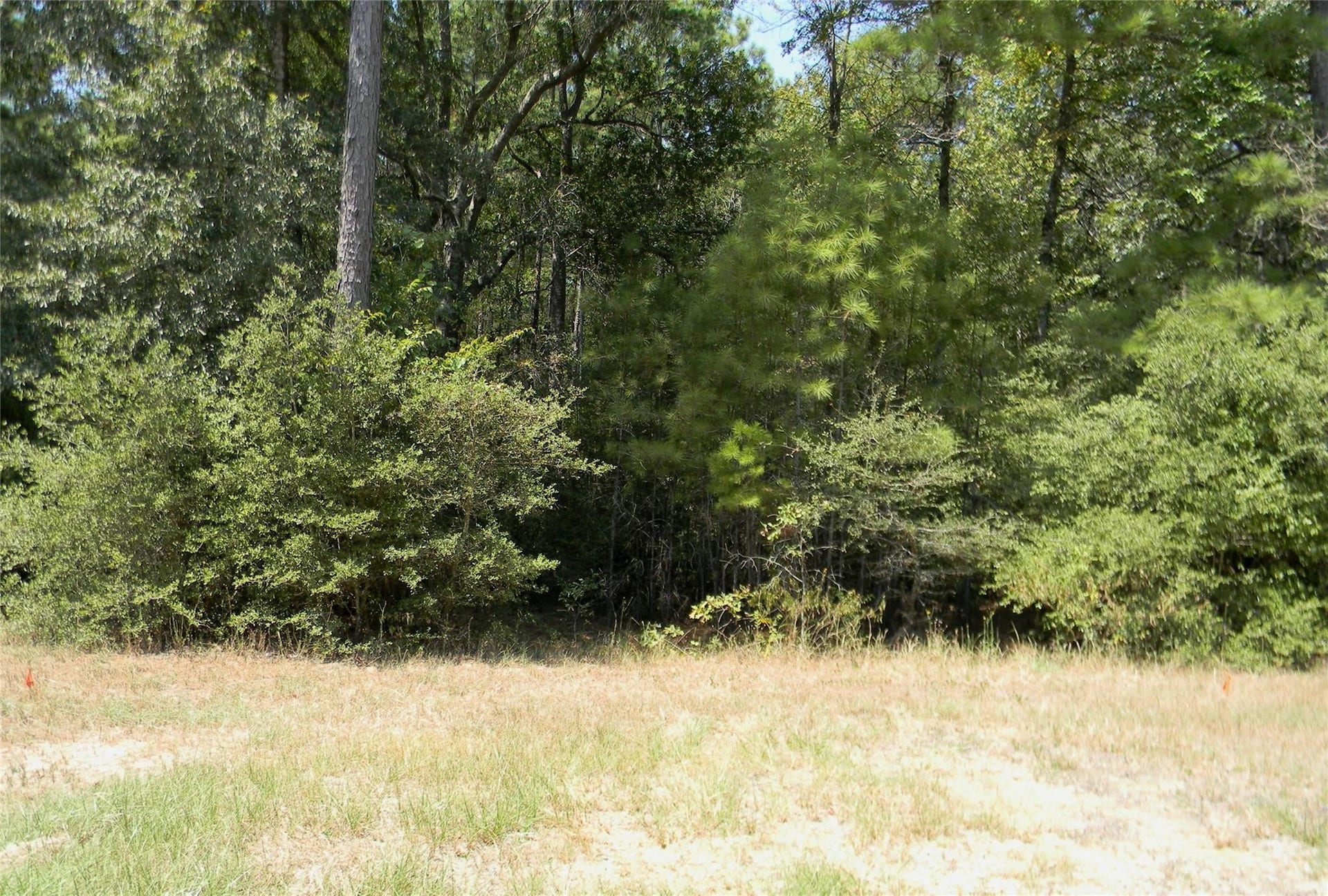31643 Stone Bridge Parkway, Waller, TX 77484 31643 Stone Bridge Parkway, Waller, TX 77484