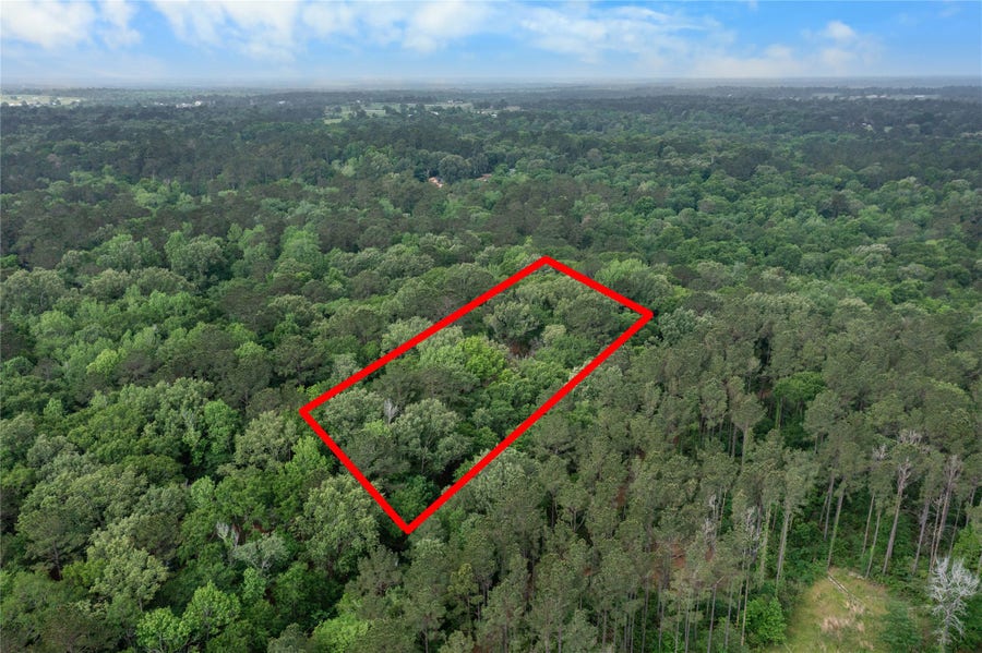 Property photo for 23619 Sharp Road, Montgomery, TX