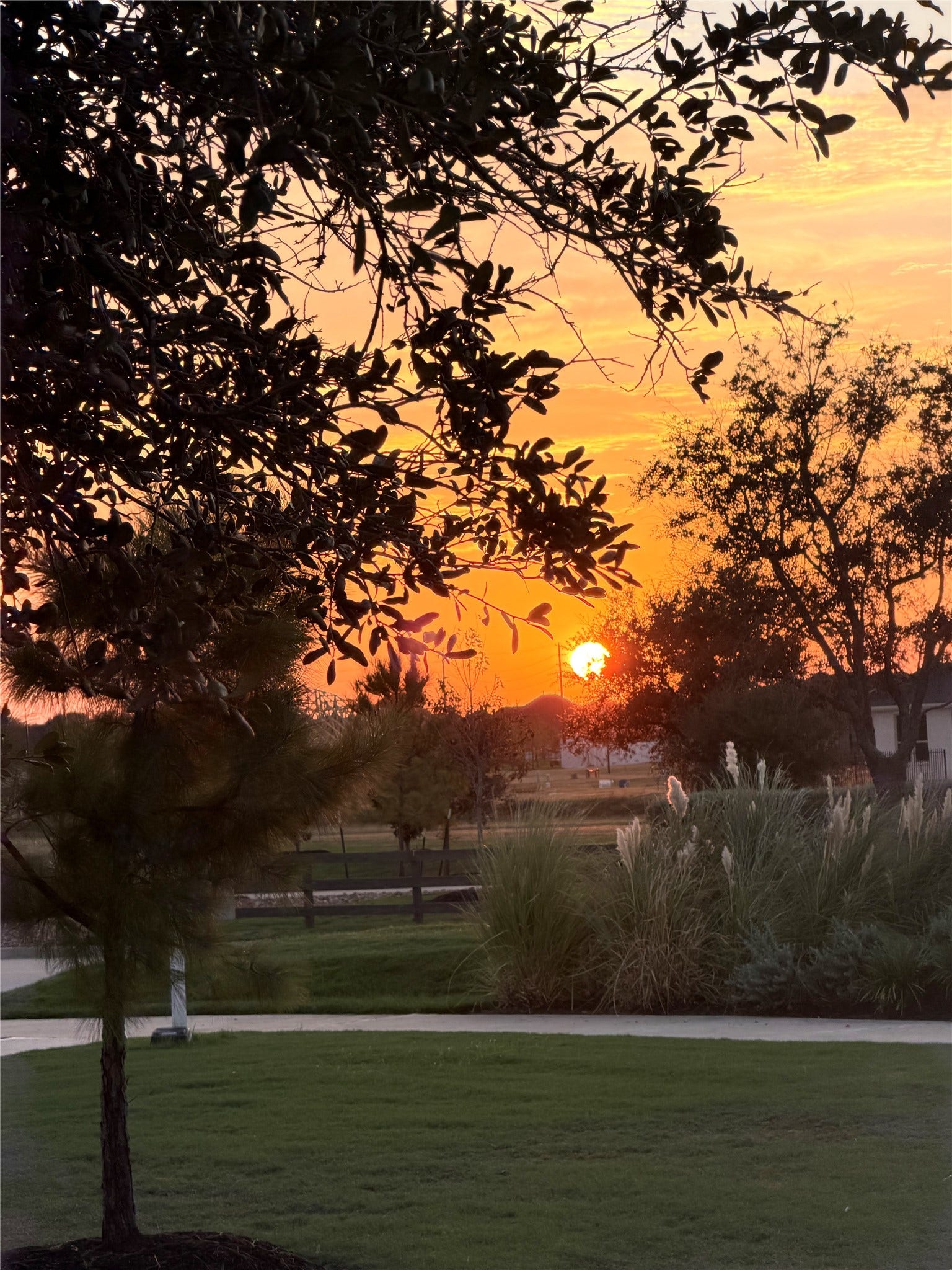 8015 Prospect Drive, Fulshear, TX 77441 Golden sunset hues filter through mature trees, creating a stunning backdrop of natural beauty. Enjoy tranquil evenings and picturesque scenery in the heart of Del Webb Fulshear.