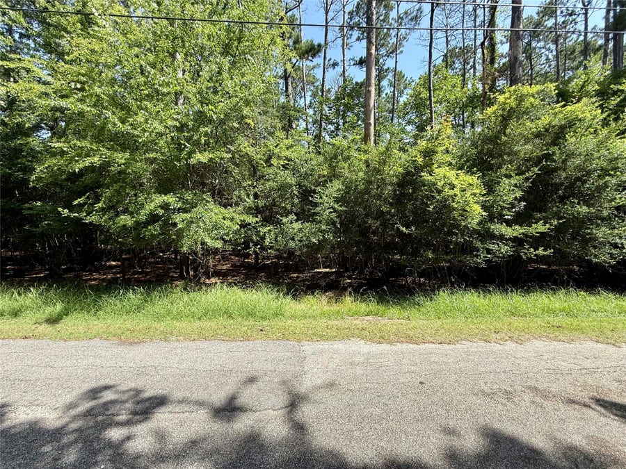 Property photo for 155 W Lake Drive, Houston, TX