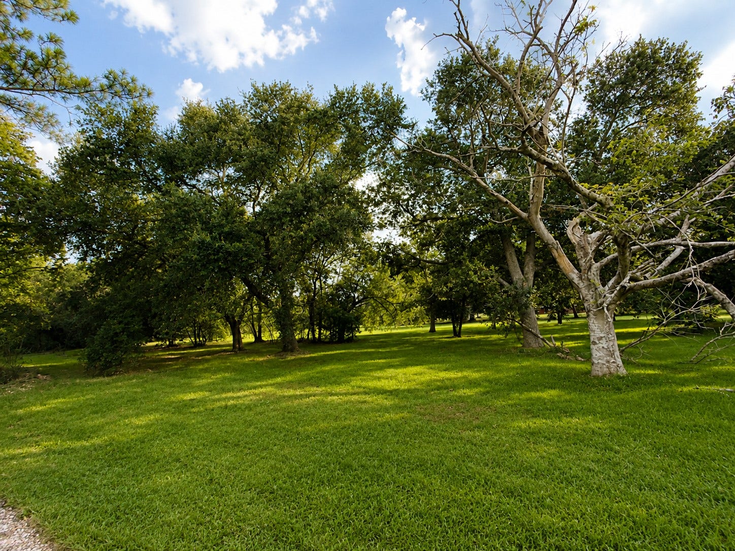 Backyard enjoy country living in the city