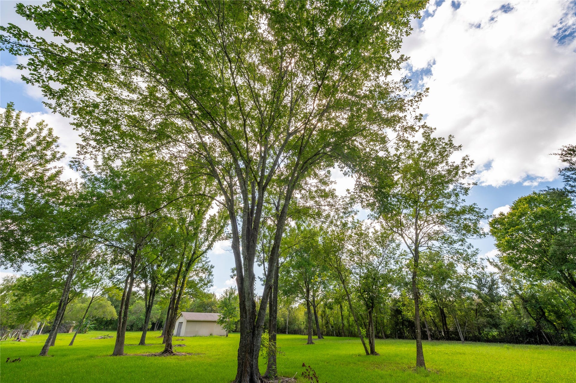 00 PARRISH, Santa Fe, TX 77510 00 PARRISH, Santa Fe, TX 77510
