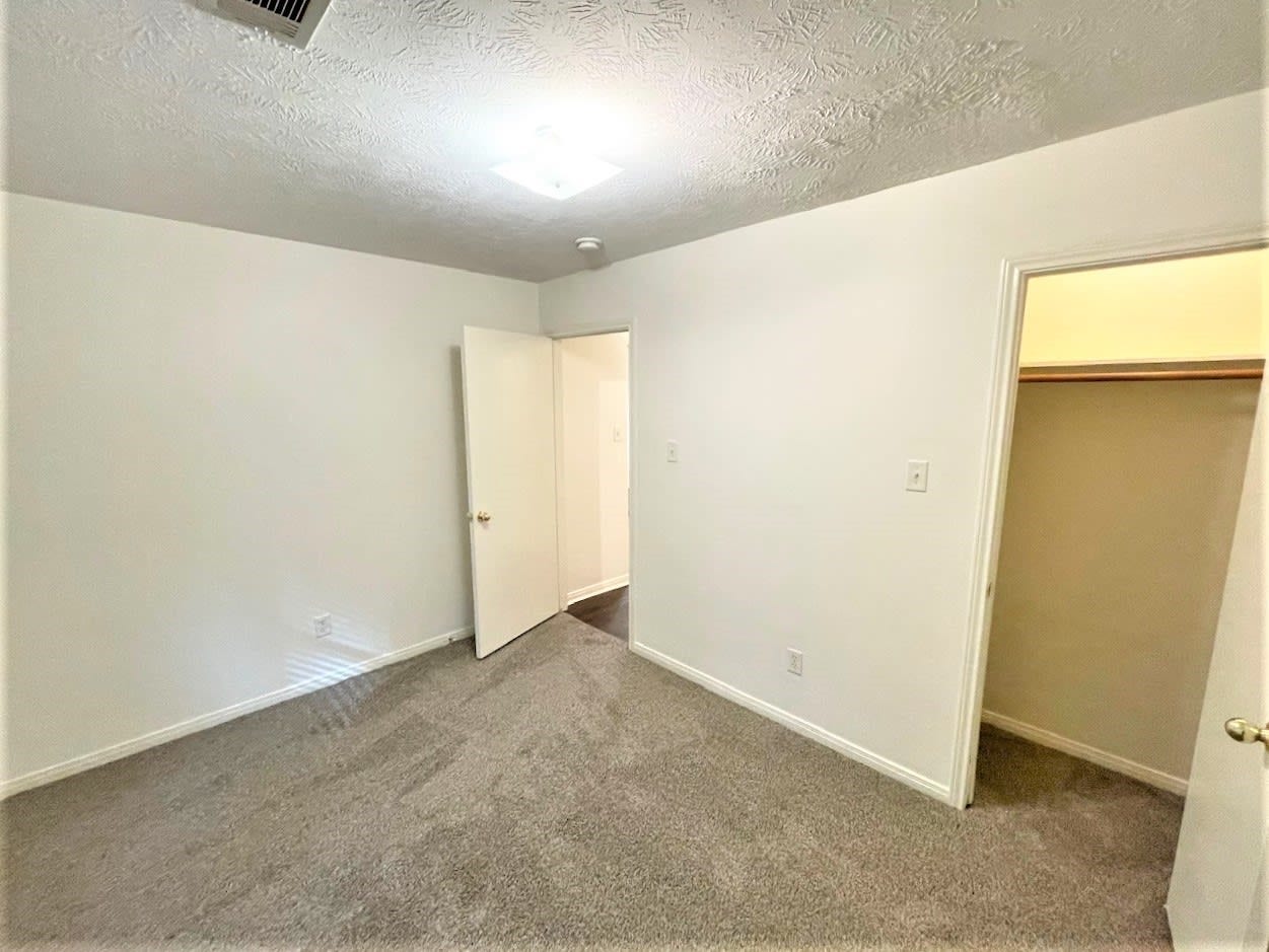 16334 Many Trees Lane, Conroe, TX 77302 16334 Many Trees Lane, Conroe, TX 77302