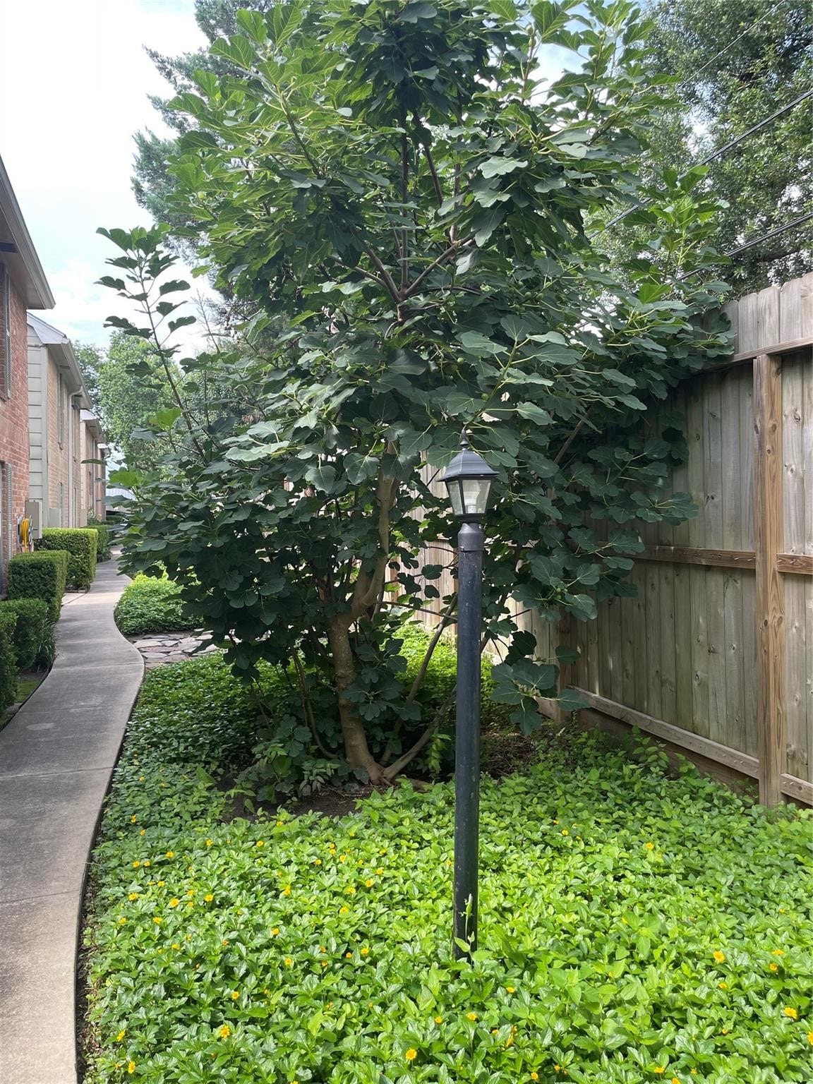 2800 Jeanetta Street, #2803, Houston, TX 77063 2800 Jeanetta Street, #2803, Houston, TX 77063