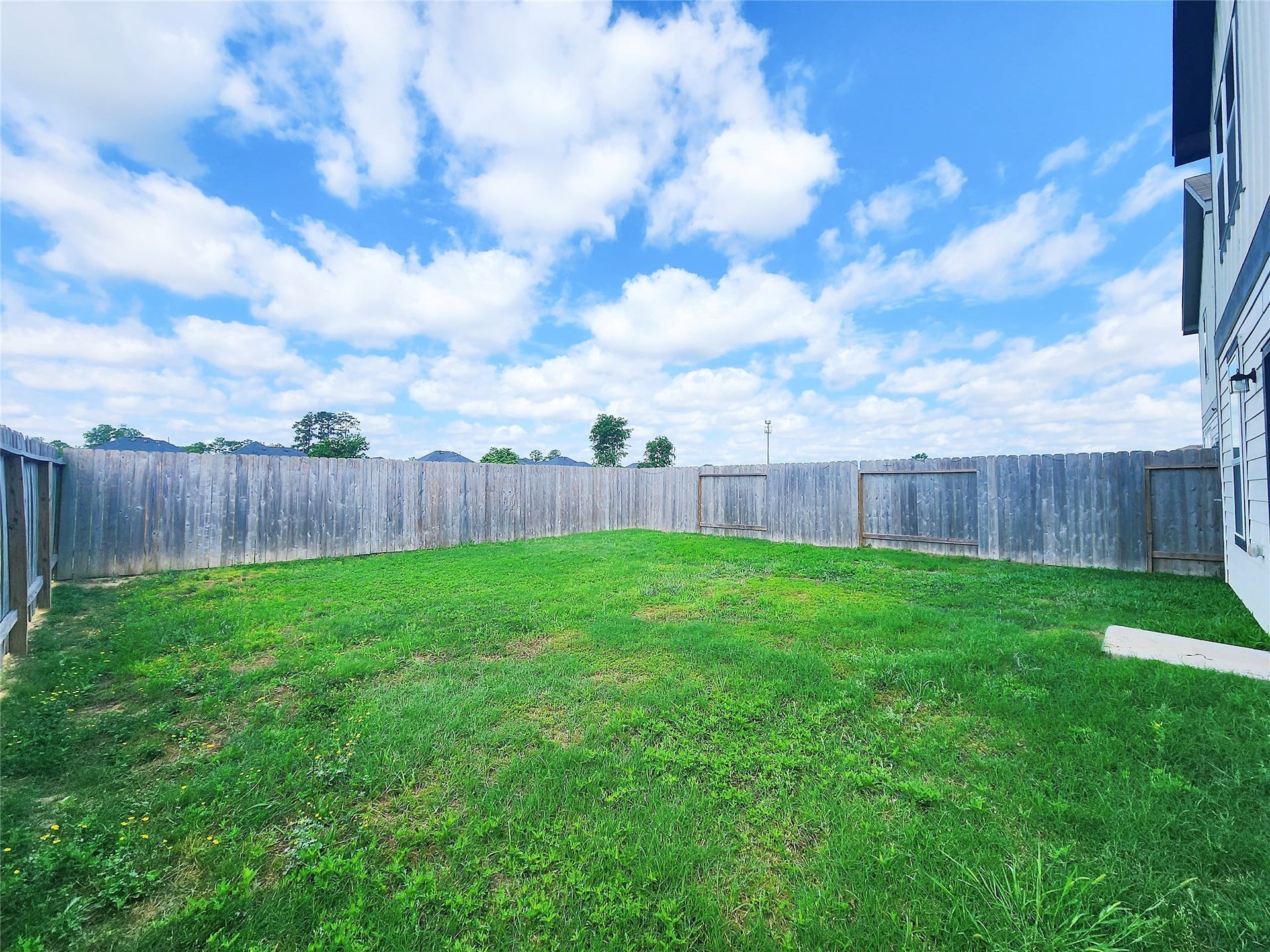 14503 Sweet Cherry Drive, Houston, TX 77069