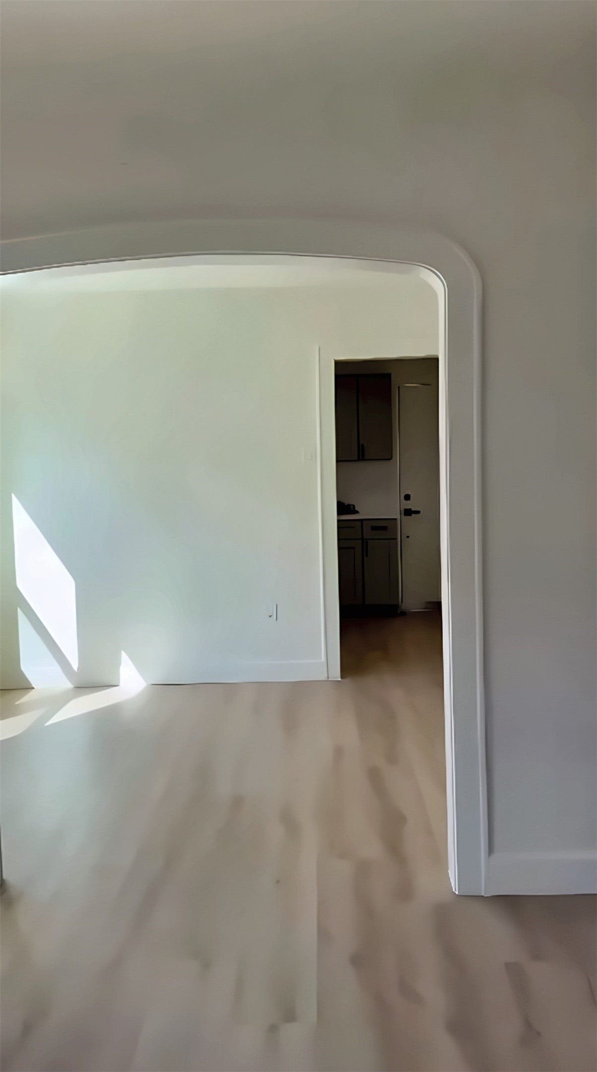 Room with wood-look flooring and archway