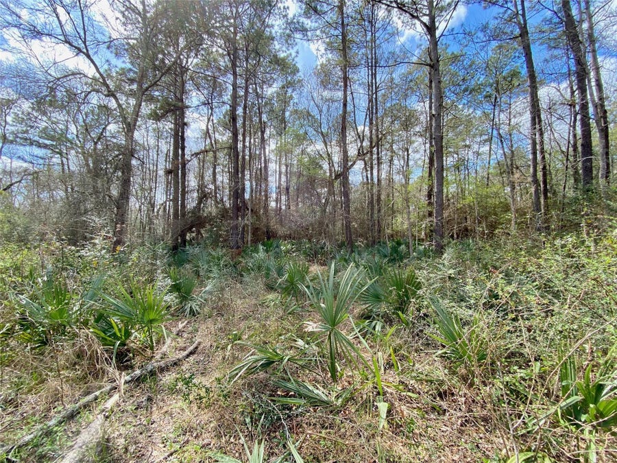 Property photo for 0 Scamper Lane, Crosby, TX
