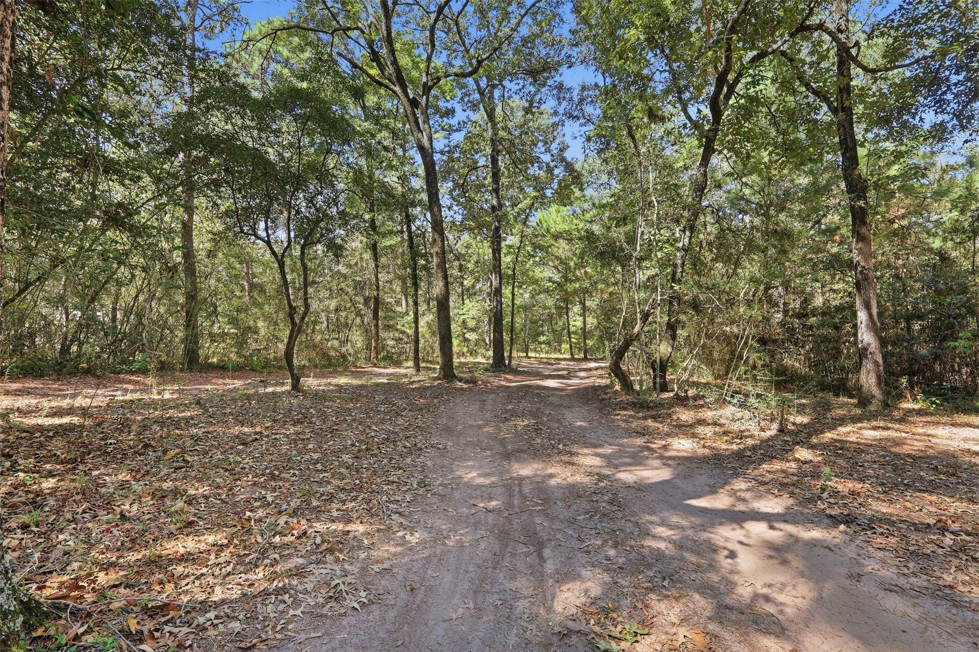 27896 Deer Run Street, Montgomery, TX 77356 27896 Deer Run Street, Montgomery, TX 77356