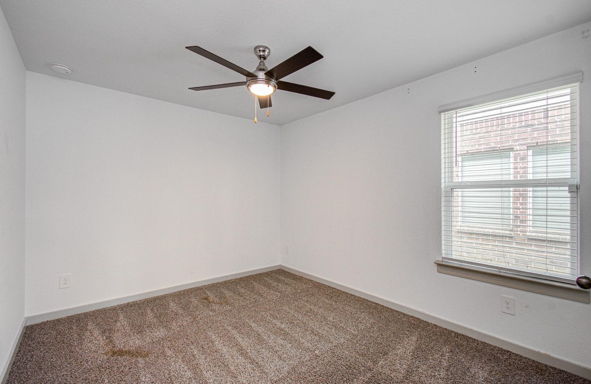 7903 Wrangler Shack Lane, Rosharon, TX 77583