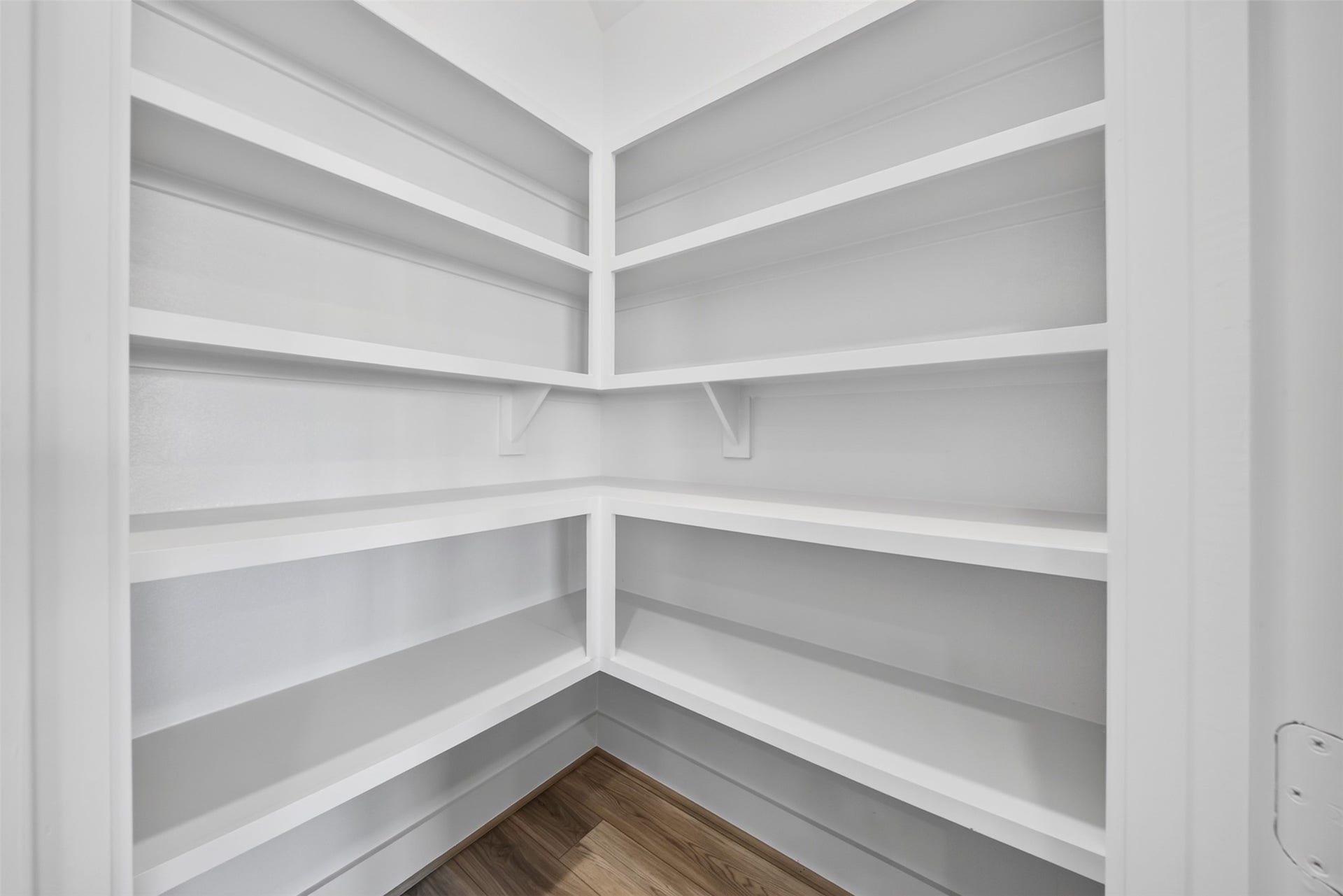 16270 Blue Mistflower Lane, Hockley, TX 77447 Walk-In Pantry: Generously sized pantry featuring wraparound built-in shelving, providing abundant organized storage for kitchen essentials, cookware, and everyday necessities.