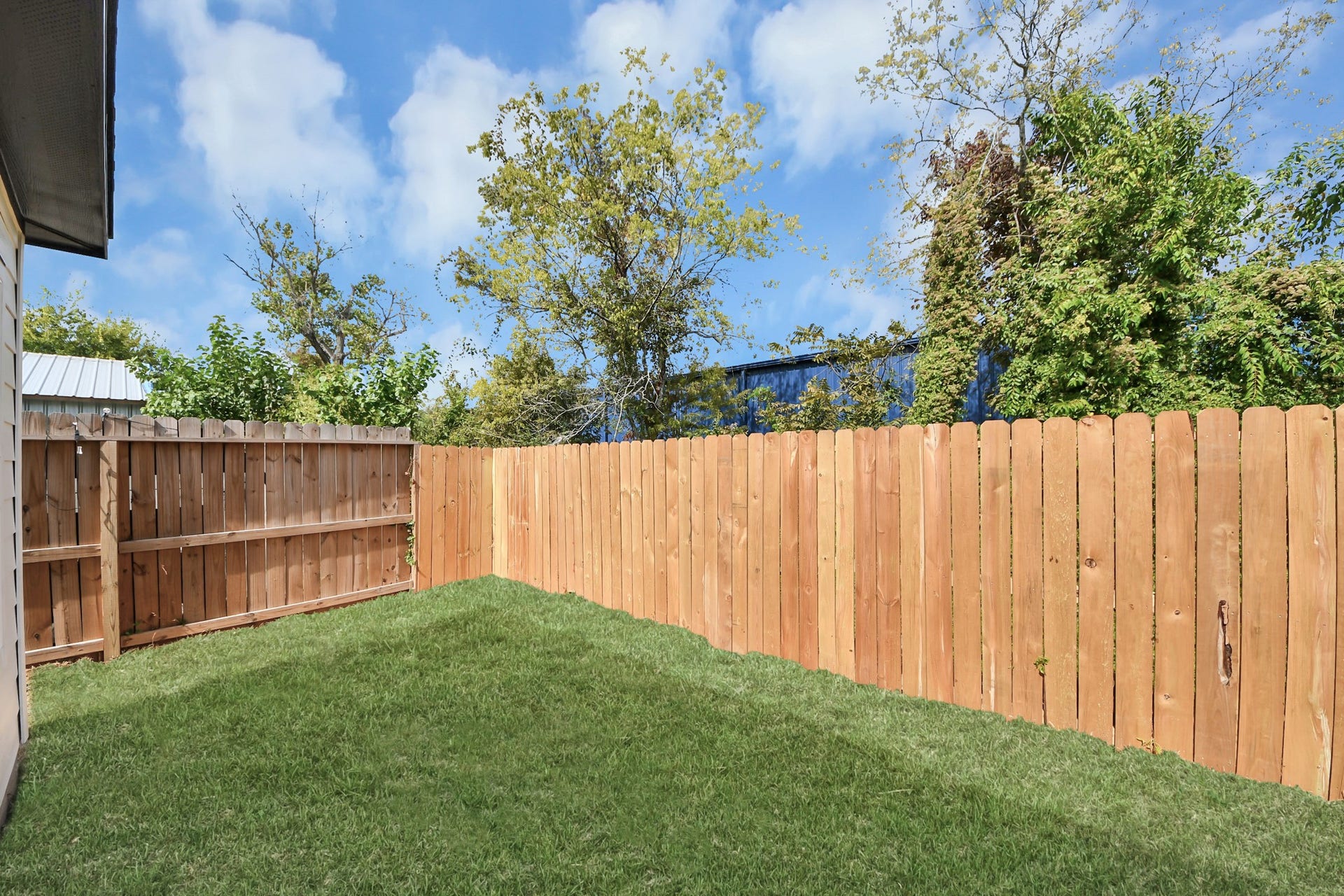 7801 King Street, Houston, TX 77028 Charming backyard with a well-maintained lawn and a sturdy wooden privacy fence, perfect for outdoor relaxation or gardening.