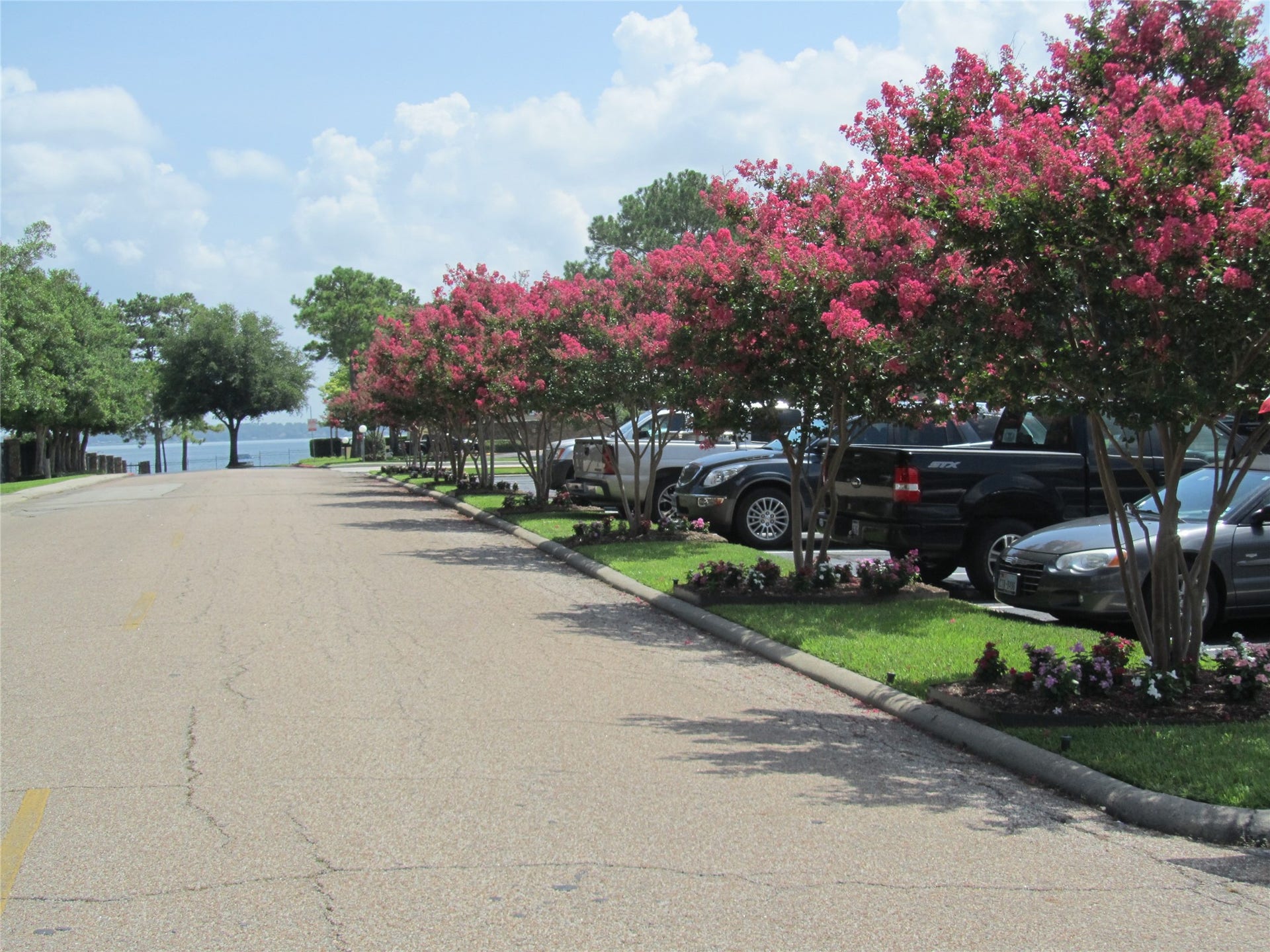 A beautiful short stroll to Walden Yacht Club, BWG and Walden Swimming Pool