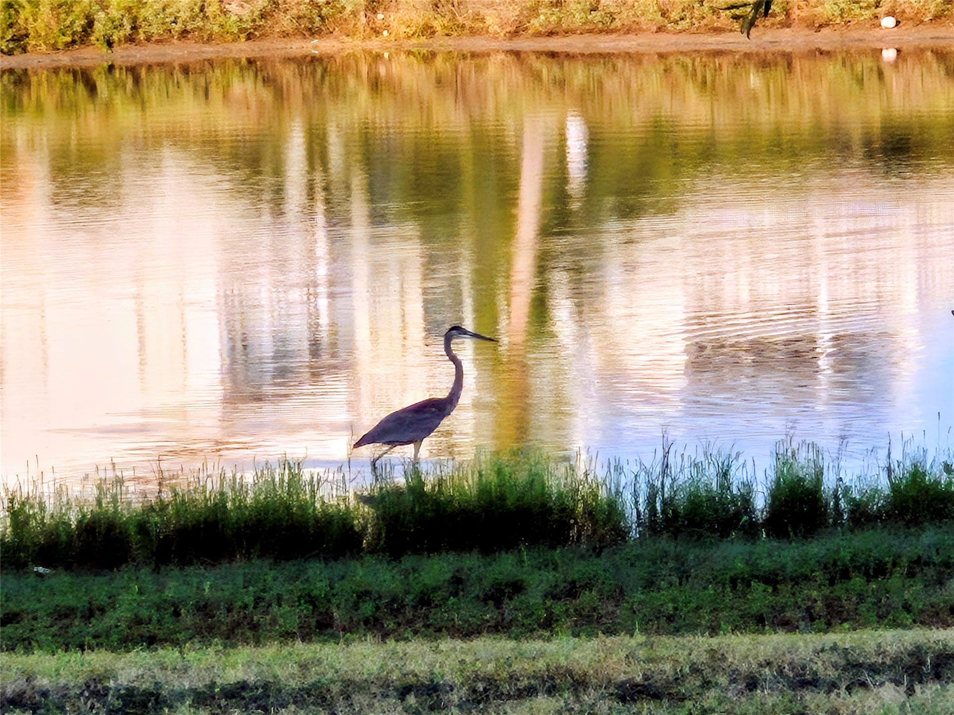 TBD Lot 28 Tiki Drive, Tiki Island, TX 77554 Great wildlife to see!