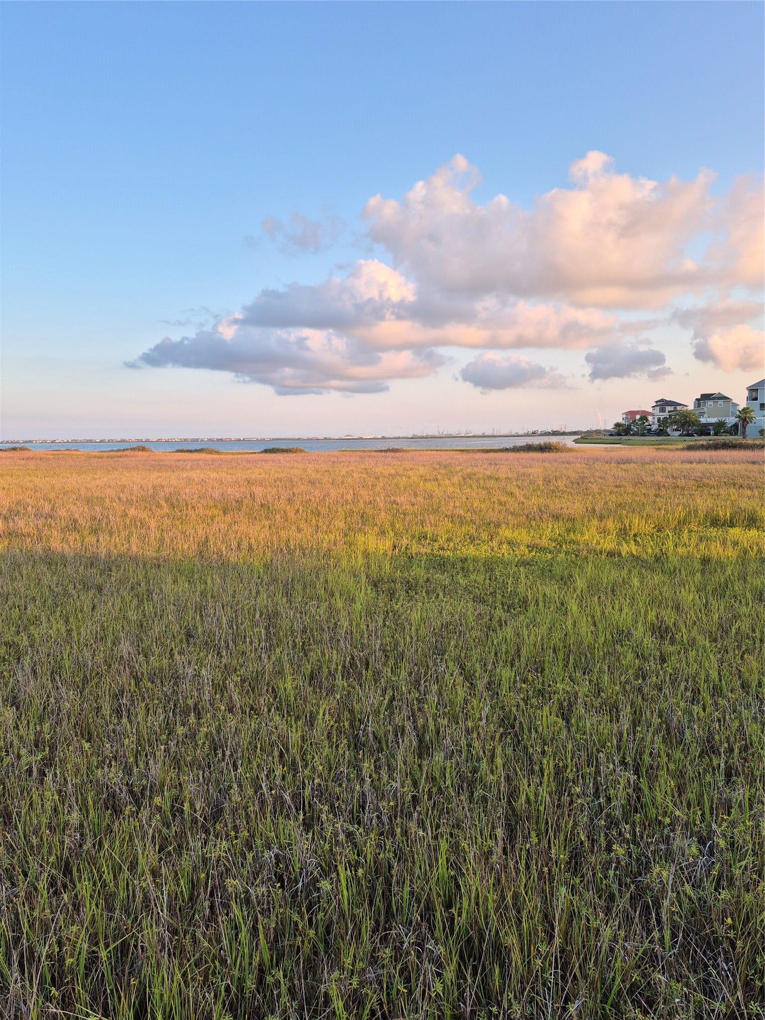 TBD Lot 28 Tiki Drive, Tiki Island, TX 77554 Lot 28 build your home here.