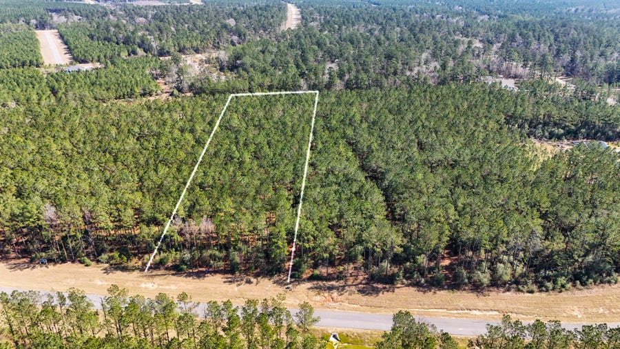 Property photo for 15422 Forest Grove Drive, Willis, TX