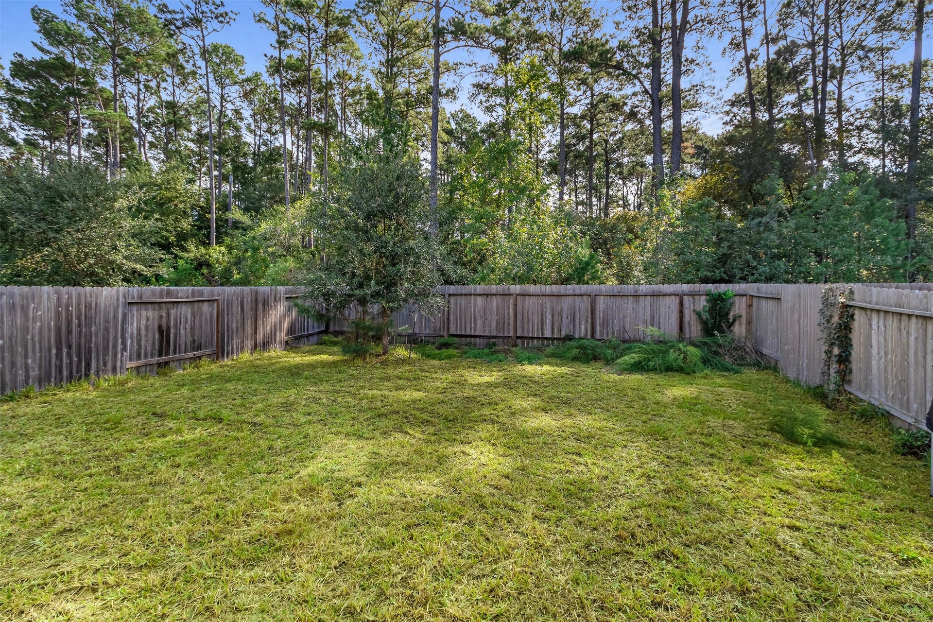 4314 Mcgregor Bluff Lane, Conroe, TX 77304 Large fenced backyard