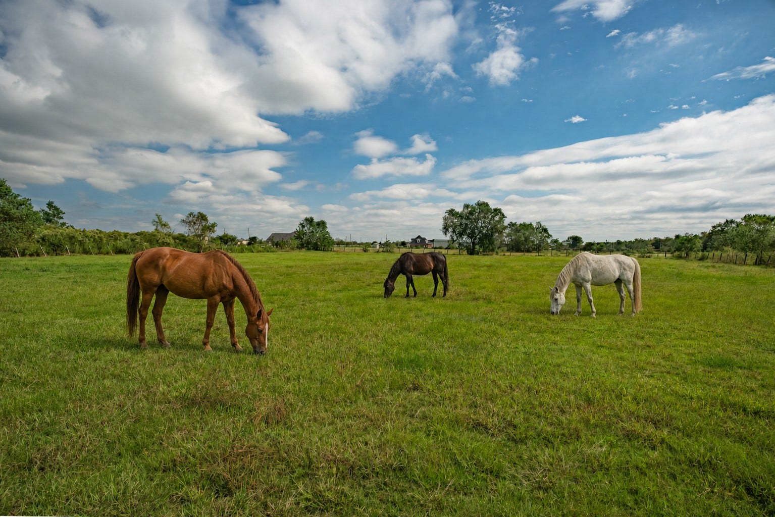 1108 County Road 55, Rosharon, TX 77583 1108 County Road 55, Rosharon, TX 77583