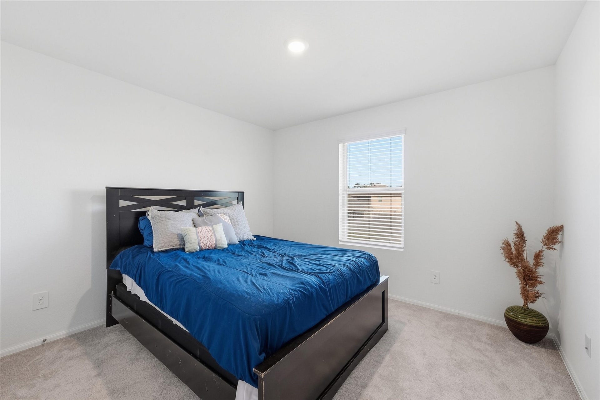 22381 Curly Maple Drive, New Caney, TX 77357 22381 Curly Maple Drive, New Caney, TX 77357